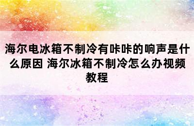 海尔电冰箱不制冷有咔咔的响声是什么原因 海尔冰箱不制冷怎么办视频教程